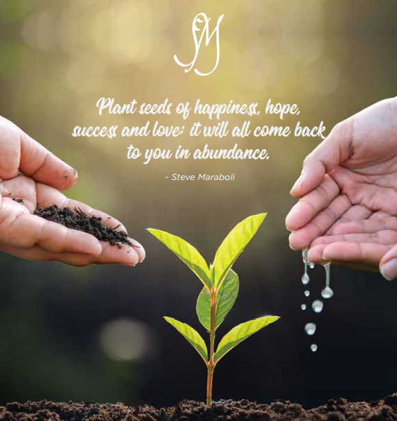 Social Message